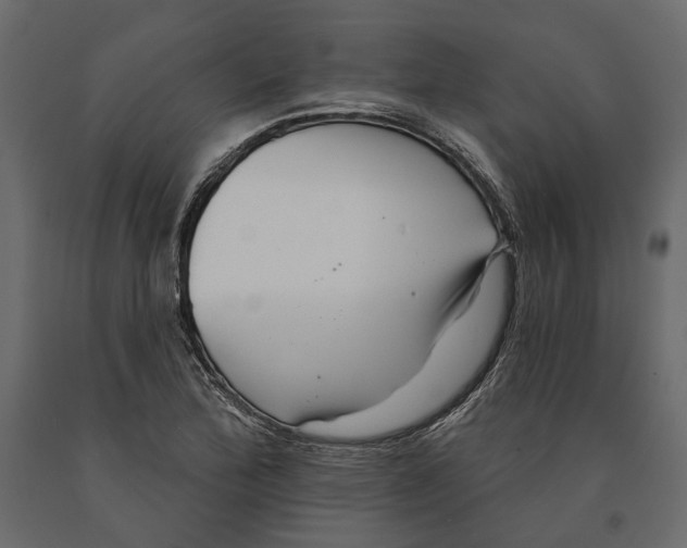 X0000090911172200708270959