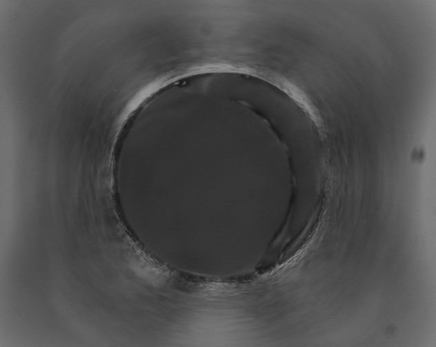 X0000090911173200708270959