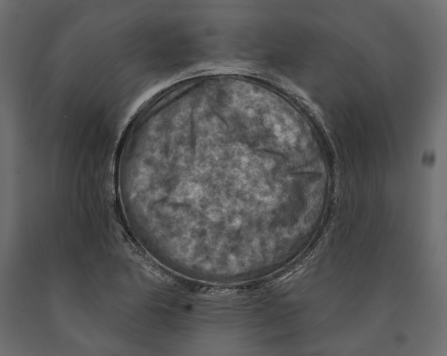 X0000090911174200708270959