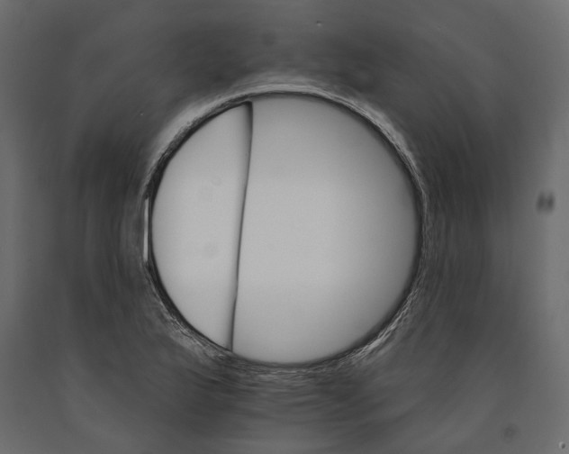 X0000090911175200708270959