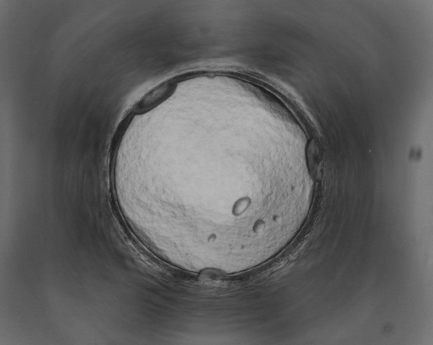 X0000090911176200708270959