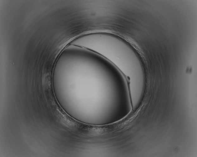 X0000090911177200708270959