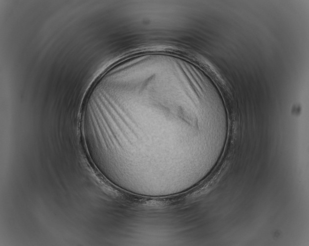 X0000090911178200708270959