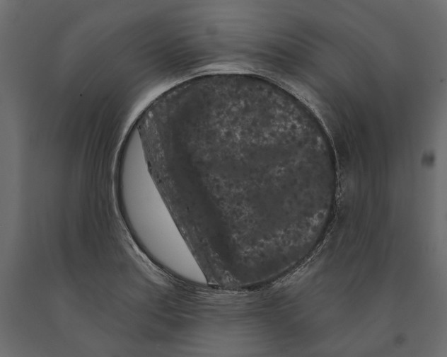 X0000090911179200708270959