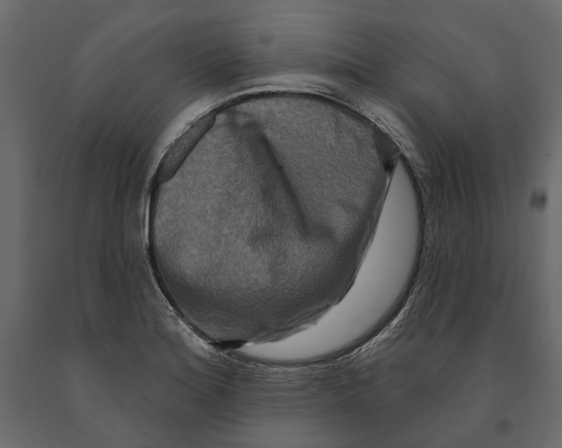 X0000090911180200708270959