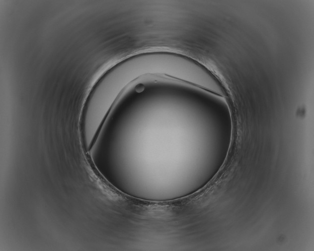 X0000090911181200708270959