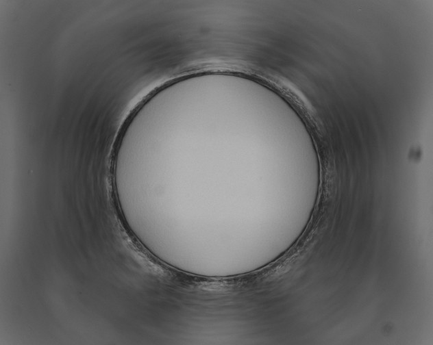 X0000090911182200708270959