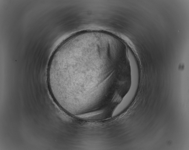 X0000090911183200708270959