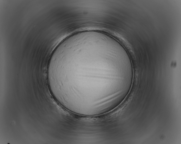 X0000090911185200708270959