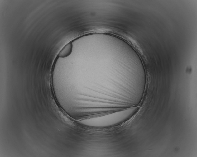 X0000090911186200708270958