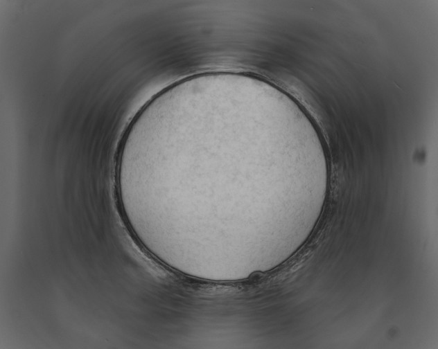 X0000090911187200708270958