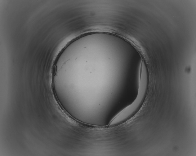 X0000090911188200708270958