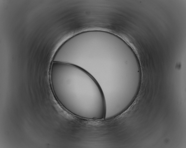 X0000090911189200708270958