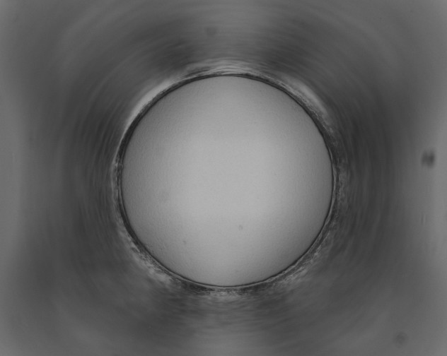 X0000090911190200708270958