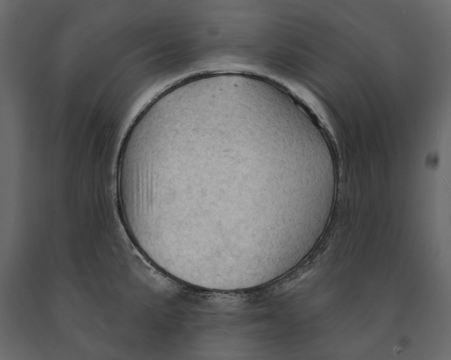 X0000090911191200708270958