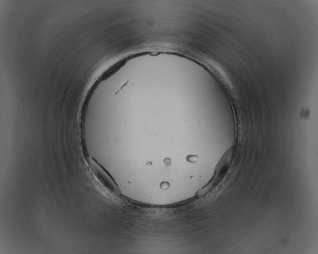 X0000090911192200708270958