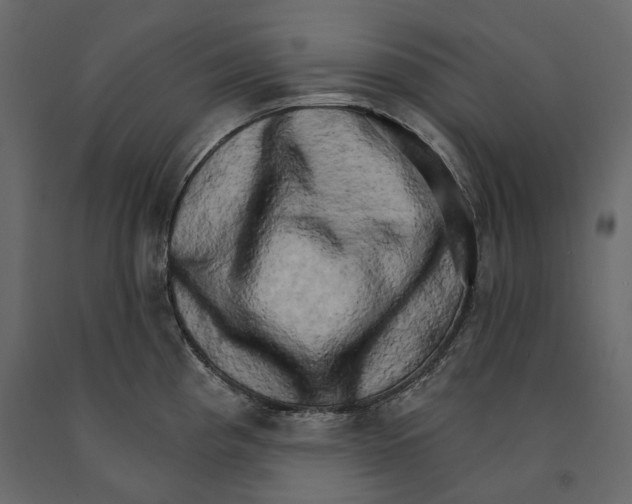 X0000090911193200708270958