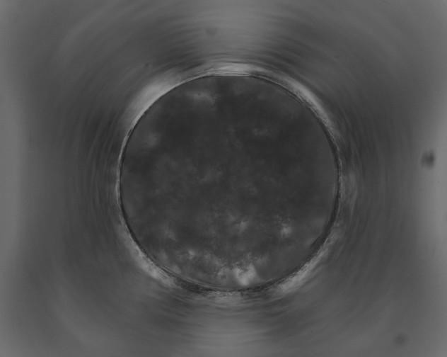 X0000090911194200708270958