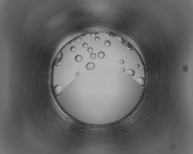 X0000090911195200708270958