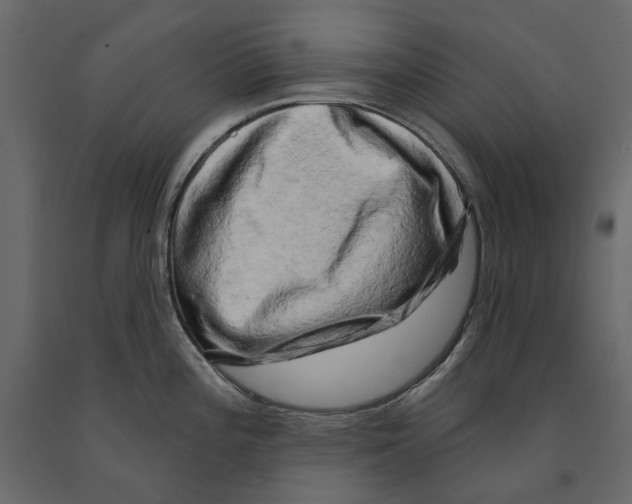 X0000090911196200708270958