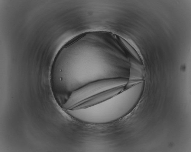 X0000090911197200708270958