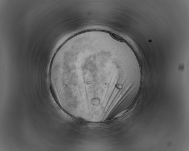 X0000090911199200708270958