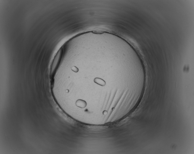 X0000090911200200708270958