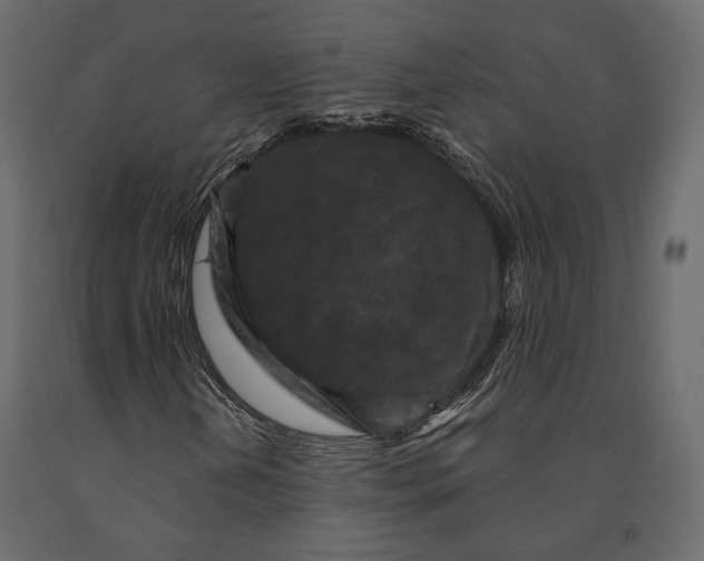 X0000090911202200708270958