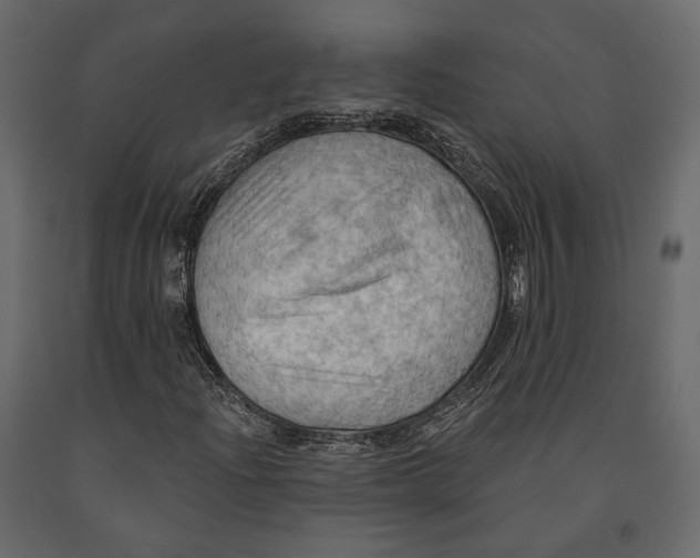 X0000090911204200708270958