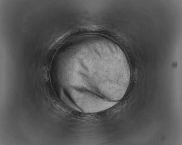 X0000090911205200708270958