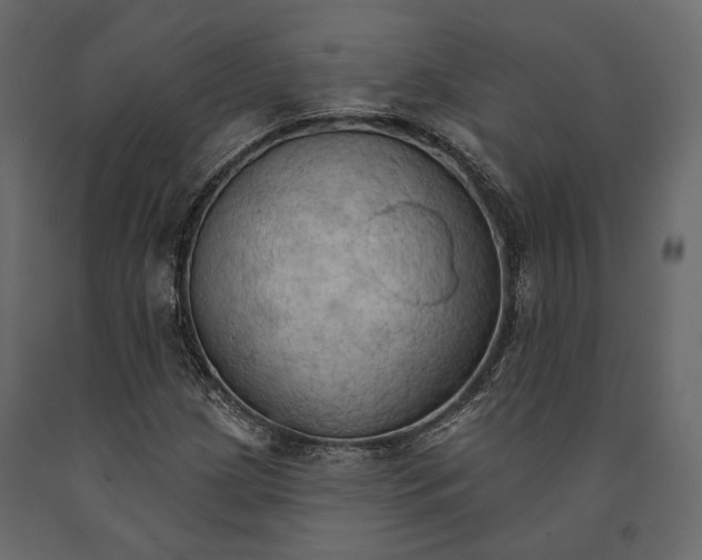 X0000090911209200708270958