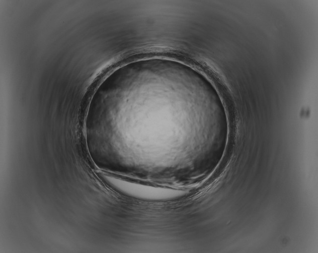 X0000090911210200708270958