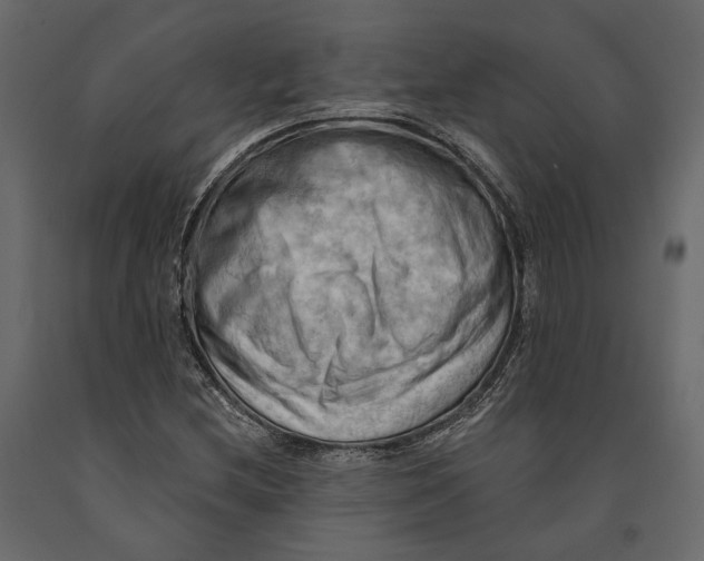 X0000090911212200708270958