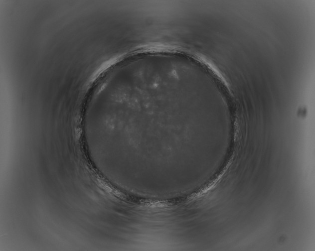 X0000090911213200708270958