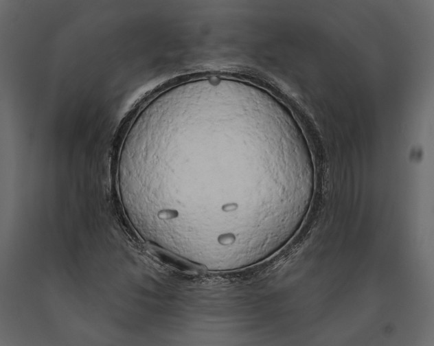 X0000090911214200708270958