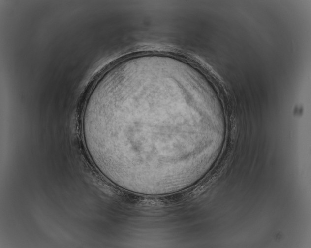 X0000090911215200708270958