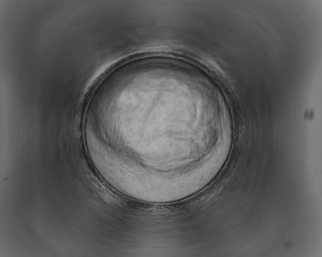 X0000090911216200708270958