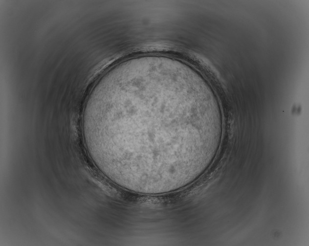 X0000090911217200708270958