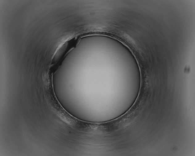 X0000090911218200708270958