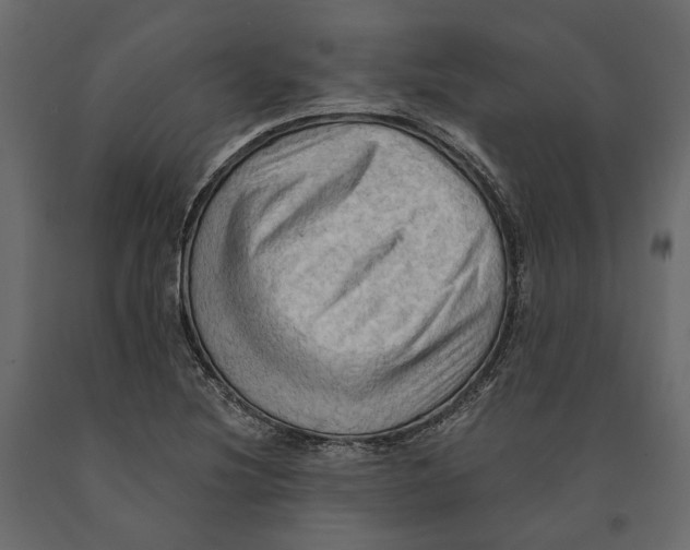 X0000090911220200708270958