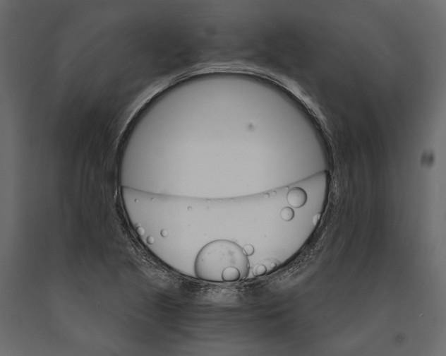 X0000090911221200708270958