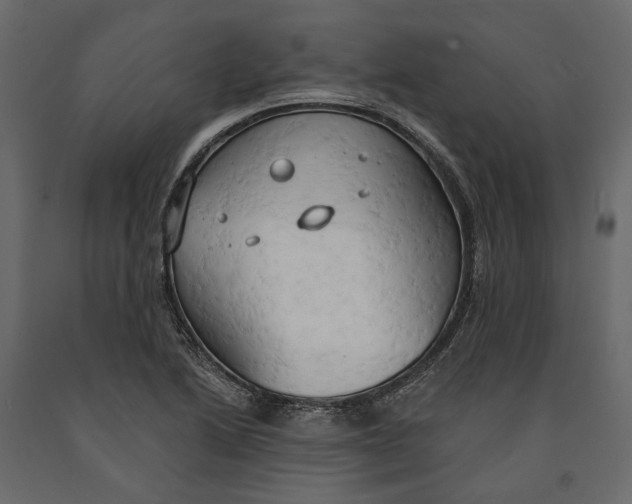 X0000090911222200708270958