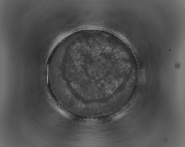 X0000090911223200708270958