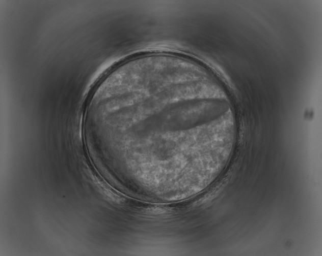 X0000090911224200708270958