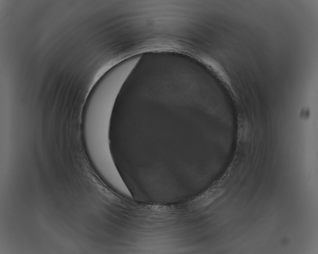 X0000090911226200708270958