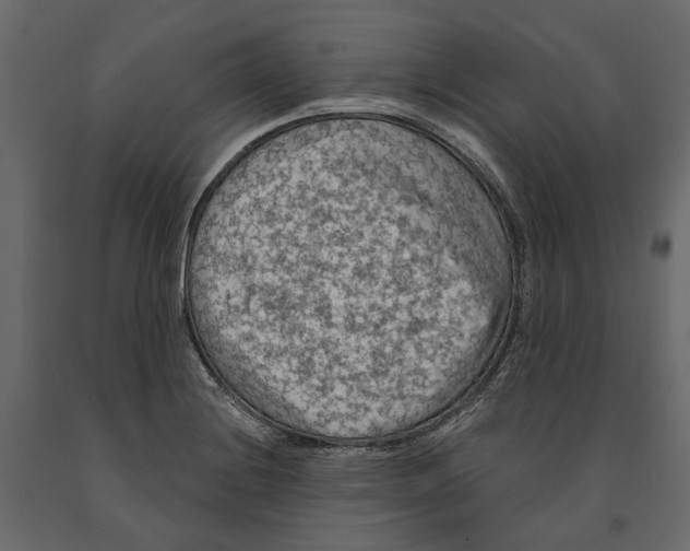 X0000090911228200708270958