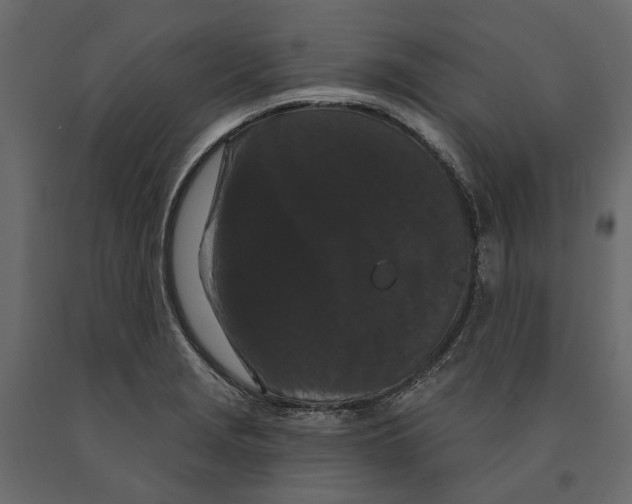 X0000090911229200708270958