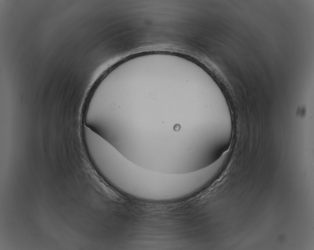 X0000090911230200708270958