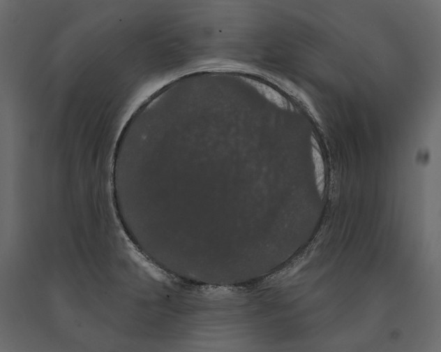 X0000090911231200708270958