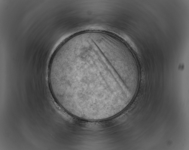 X0000090911232200708270958